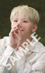 hmv勋 ver.B