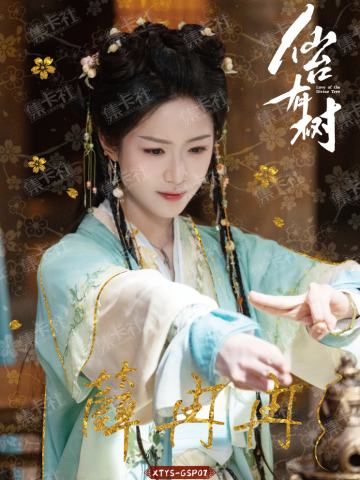 GSP 双生相缘卡（99编）