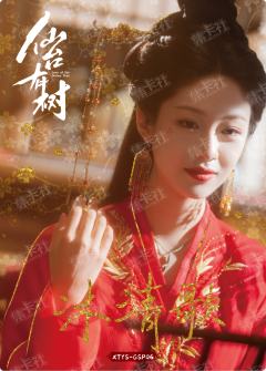 GSP 双生相缘卡（99编）