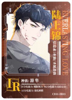 陆上锦