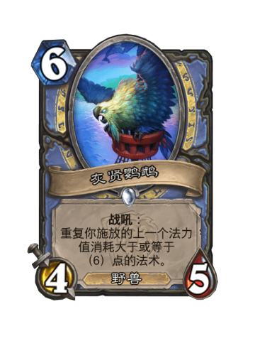 灰贤鹦鹉