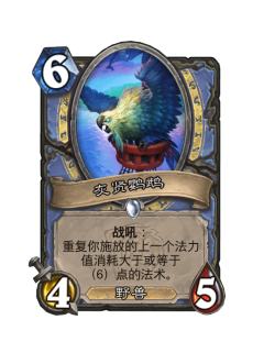 灰贤鹦鹉