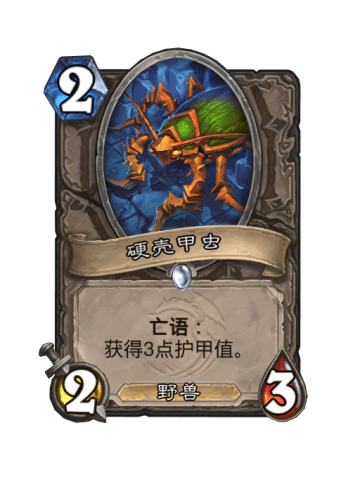 硬壳甲虫