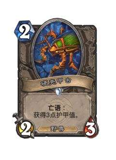 硬壳甲虫