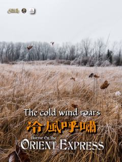 东方快车上的恐怖-资料图