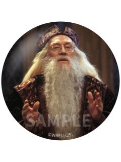 邓布利多(魔法石)-银幕绘影系列马口铁徽章