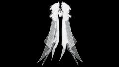 玉鸾·雪-资料图