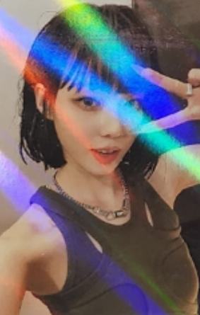 阿拉丁 冬