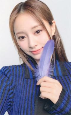 会员盘 瑜 ver.I