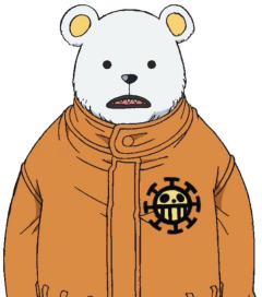 贝宝