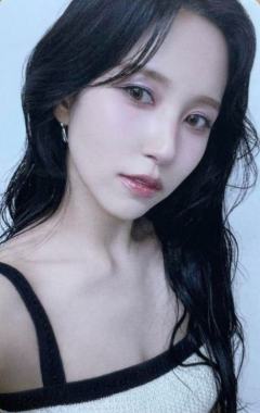 单封专卡 南 ver.C