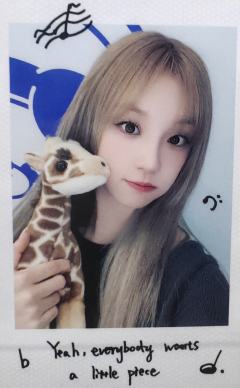 wm快闪拍立得 ver.F