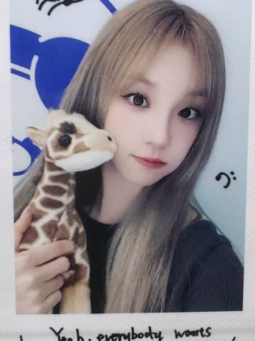 wm快闪拍立得 ver.F