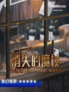 消失的魔杖