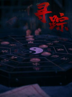 寻踪