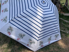 海盐小野莓-资料图
