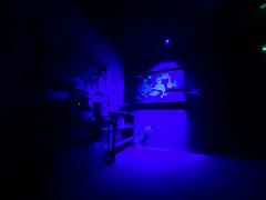 这没有游戏-资料图