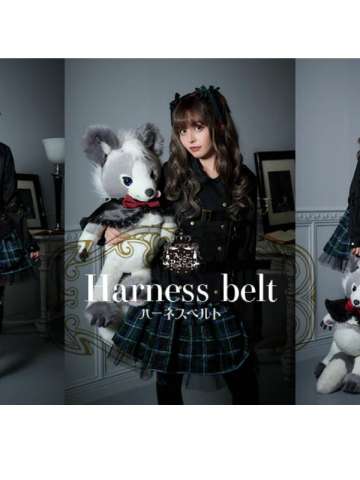 harness belt 束缚带 系列