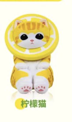 柠檬猫-资料图