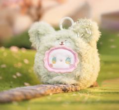 异色隐藏款-大耳狐