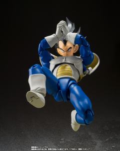 SHF 贝吉塔 24000的战斗力-资料图