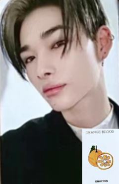 yzy上海7