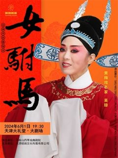 女驸马（吴琼主演黄梅戏）