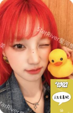 星河4.0 鸭子ver.D