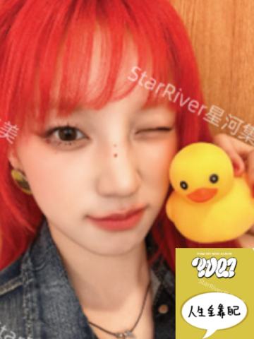 星河4.0 鸭子ver.D