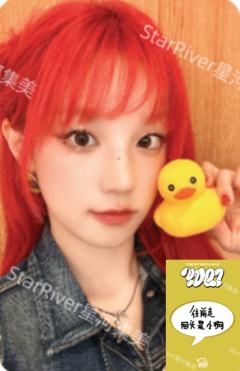 星河4.0 鸭子ver.B