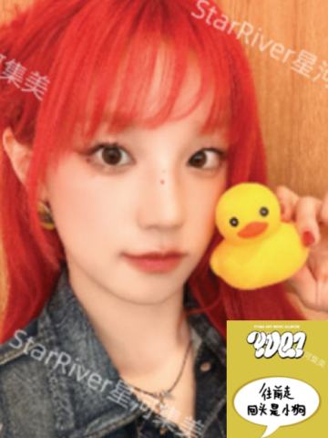 星河4.0 鸭子ver.B