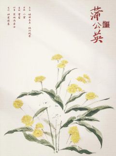 红豆2：月光-资料图