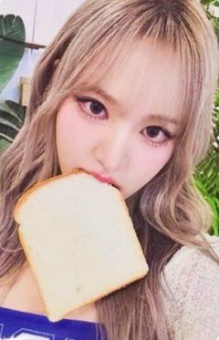 wm6.0幸运卡 栗ver.A