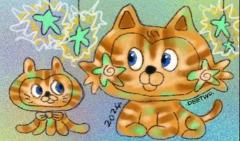 星星猫套装-资料图