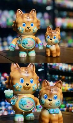 星星猫套装-资料图