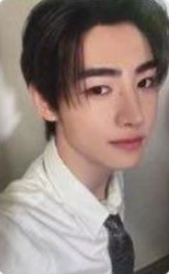 fate plus日巡zone卡4