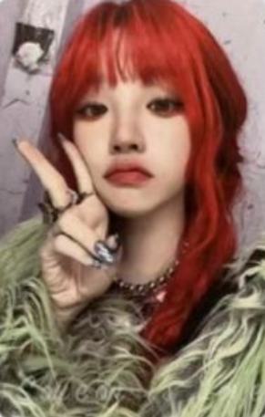 国际版rabbit版专卡 ver.C