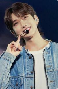 love dvd固配 刷 dc ver.