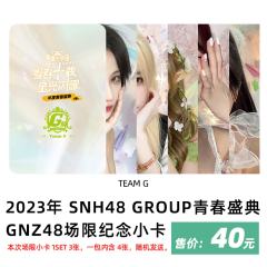 2023年度青春盛典场限纪念小卡