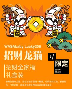 招财龙猫·新春限定礼盒-资料图