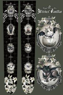 Witches Familiar 魔女使魔-资料图