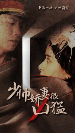 少帅娇妻很凶猛