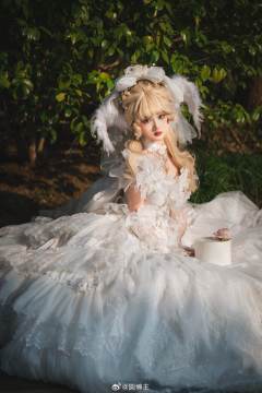 梦与星花相会之时～妖精王国花嫁-资料图