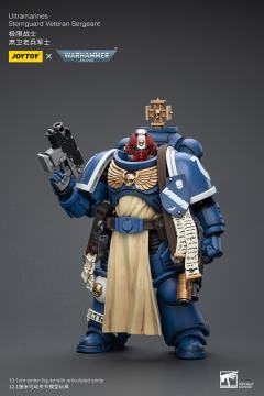 极限战士 肃卫老兵军士