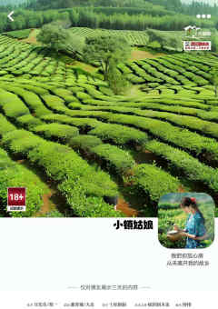 坑蒙拐骗4·洗脑-资料图