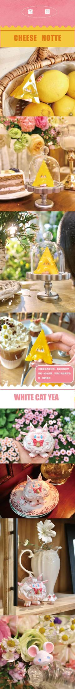 白猫小胖 -资料图