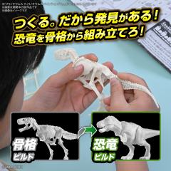 恐龙拼装模型 暴龙 涂装专用版-资料图