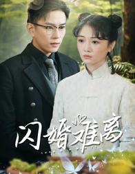 闪婚难离