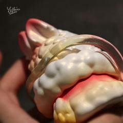 卯兔坐坐-资料图