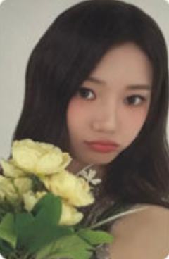 oy快闪 茶